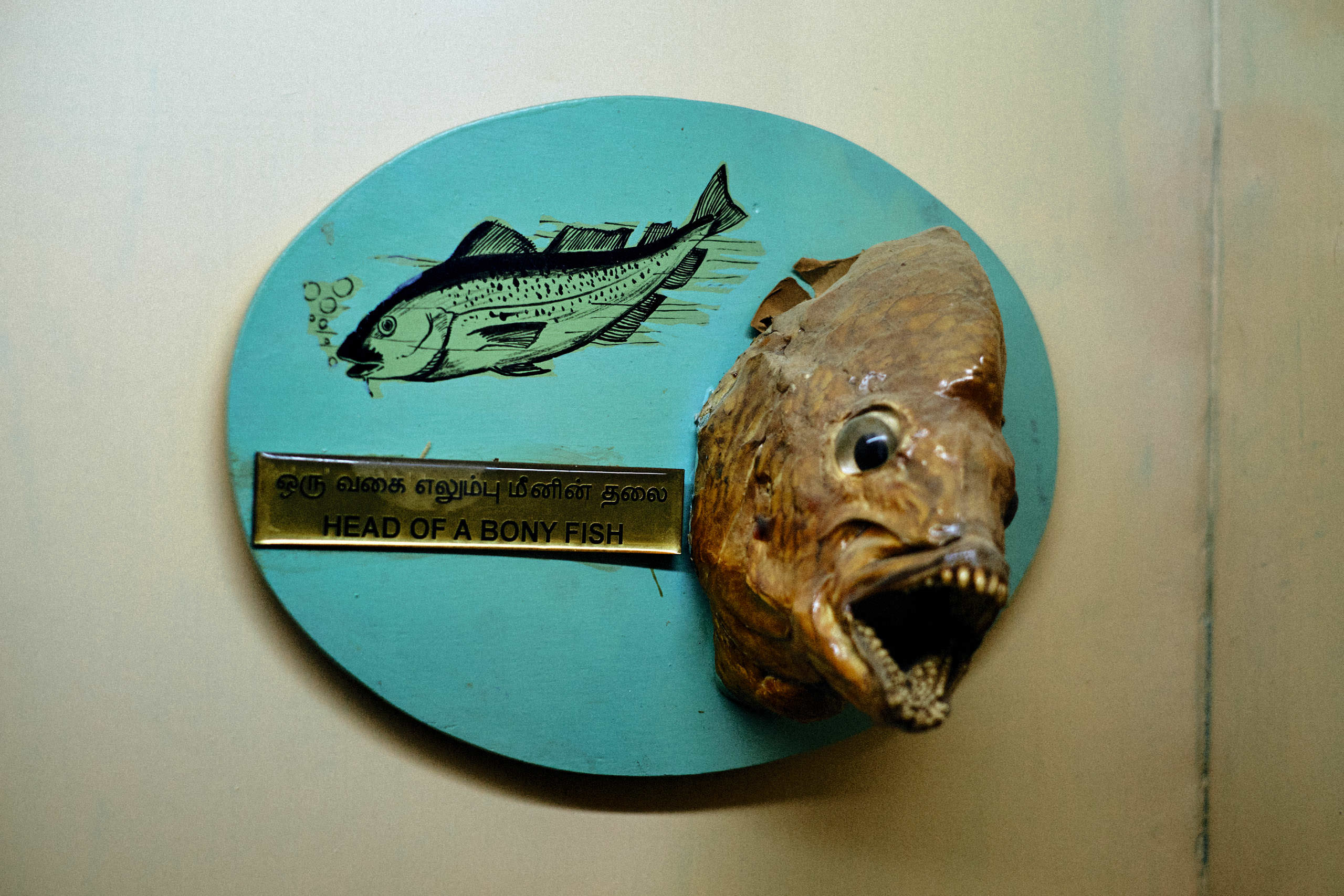 Government Art Museum Chennai